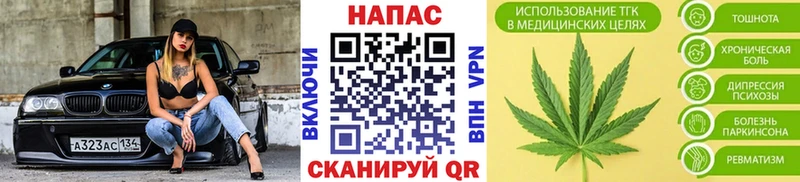 Где можно купить наркотики Новая Ладога Галлюциногенные грибы  МЕФ  ГАШИШ  MDMA  Alpha-PVP  КОКАИН 