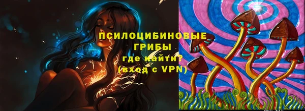 прущие крисы Алзамай