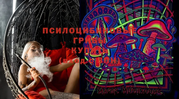дживик Арсеньев