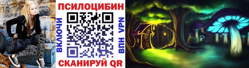 Галлюциногенные грибы Magic Shrooms  Новая Ладога 